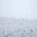White-out conditions and poor visibility were reported across southern Manitoba on Oct. 11 as winds gusted between 30-70 km/h and whipped blowing snow high into the air.