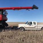 Last week I started out the day by getting the old farm truck stuck in the mud, right in the middle of the field. It’s been that kind of year.