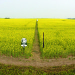 Scott Anderson recommends farmers take advantage of companies looking to conduct field trials on their new, upcoming varieties.
