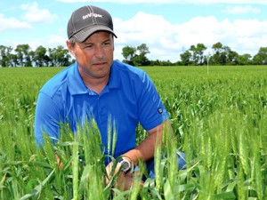 7 tips for on-farm research tests