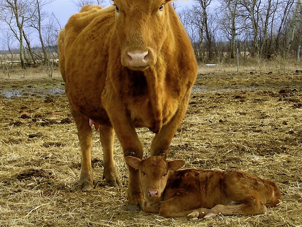 Photo: Debbie Furber