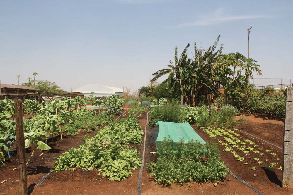 Brazil: Farming on a larger scale