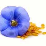 Six tips for better flax agronomy