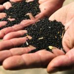 Five ways to up your grain marketing