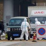 Workers in protective suits at a checkpoint near a farm where African swine fever was detected, in Fangshan district of Beijing, China Nov. 23, 2018. The disease has spread rapidly to several countries in Southeast Asia with more countries likely to be hit in the coming months.
 Photo: Reuters/File
