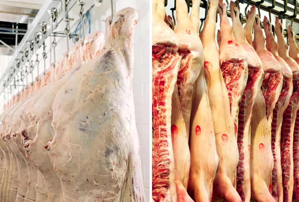Photo: Canada Beef Inc/Getty Images
