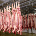 Five pork, five beef and three poultry plants will be built to help supply China’s appetite for meat.  Photo: iStock/Getty Images
