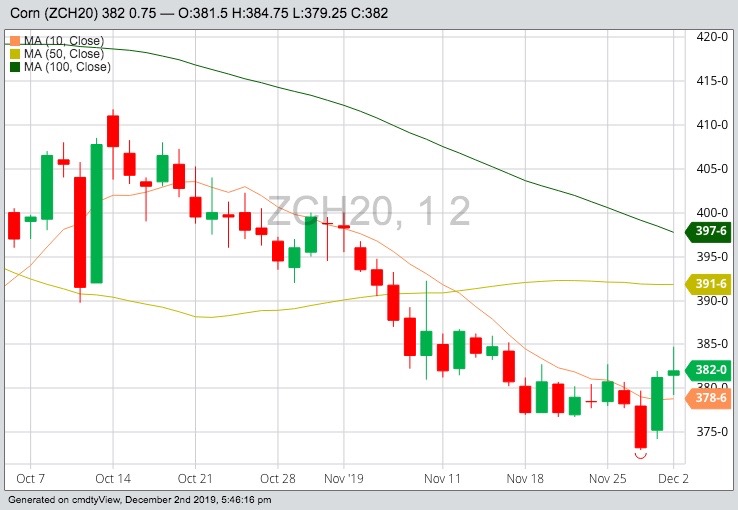 CBOT March 2020 corn with 10-, 50- and 100-day moving averages. (Barchart)
