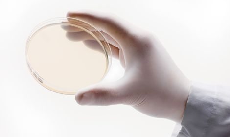 Photo courtesy Canada Beef Inc.
