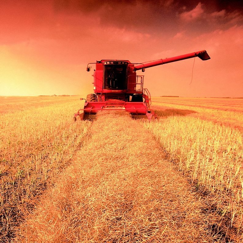 (Country Guide file photo)
