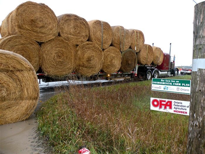 Additional funding from the Ontario government is expected to help the HayEast program continue to move donated hay to drought-hit areas of Ontario until the end of May. (OFA.on.ca)
