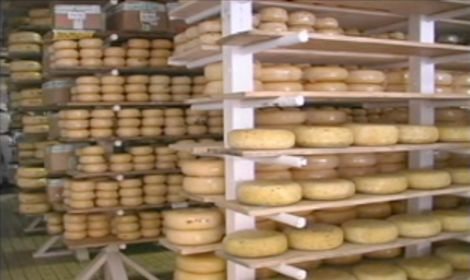 B.C. raw-milk cheeses linked to E. coli outbreak