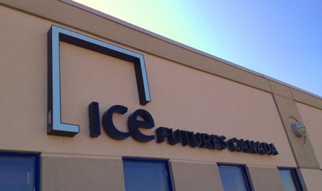 ICE Futures Canada canola contracts fell to their lowest levels in over three and a half years during the week ending Feb. 12. (Dave Bedard photo)
