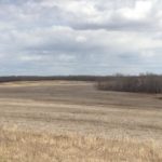 A field awaits action near Livelong, Sask., about 110 km east of Lloydminster. (Lisa Guenther photo)
