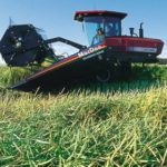 (Canola Council of Canada photo)
