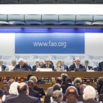 (Giuseppe Carotenuto photo courtesy FAO)
