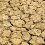 (Peggy Greb photo courtesy ARS/USDA)
