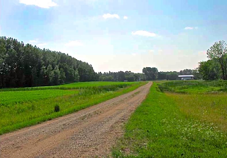 Grain farm for sale at Churchbridge, Sask. (LaneRealtyCorp.com)
