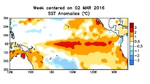 Pacific Ocean sea surface temperature (SST) anomalies for the week centred March 2. (CPC.ncep.noaa.gov)
