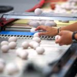 A+W, which sources eggs from this production facility, said it plans to source its eggs from hens in open-barn housing and raised without use of antibiotics. (CNW Group/A+W Restaurants)