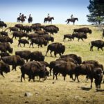 (Photo courtesy South Dakota Department of Tourism)
