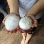 These giant hailstones were found after a storm near Manitou, Man. July 19. Michelle Sanders/Twitter
