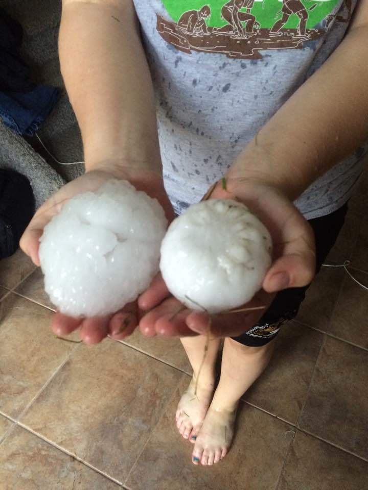 These giant hailstones were found after a storm near Manitou, Man. July 19. Michelle Sanders/Twitter
