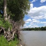 The Red River in southern Winnipeg. (File photo by Dave Bedard)