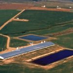 One of Pinnacle Farms’ sow barns at Standard, Alta., about 80 km east of Calgary. (VerusAlliance.com)