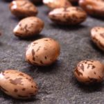 Pinto beans. (Scott Bauer photo courtesy ARS/USDA)
