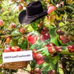 B.C. Agriculture Minister Norm Letnick, shown here last October promoting the province’s income tax credit for farmers donating agricultural products to registered charities, held his Kelowna riding in the provincial election Tuesday night. (Gov.bc.ca)