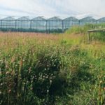 (VillageFarms.com)