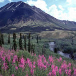 Photo: Government of Yukon.
