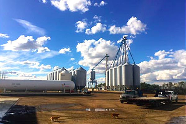 A new elevator and retail site at Viking, Alta. is expected to complement Parrish and Heimbecker’s Dakota crop services centre at Sedgewick, shown here. (Parrishandheimbecker.com)
