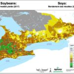 Hot fall pulls Ontario corn yields above average