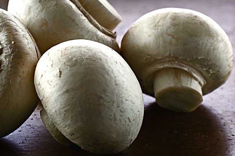(PrairieMushrooms.com)
