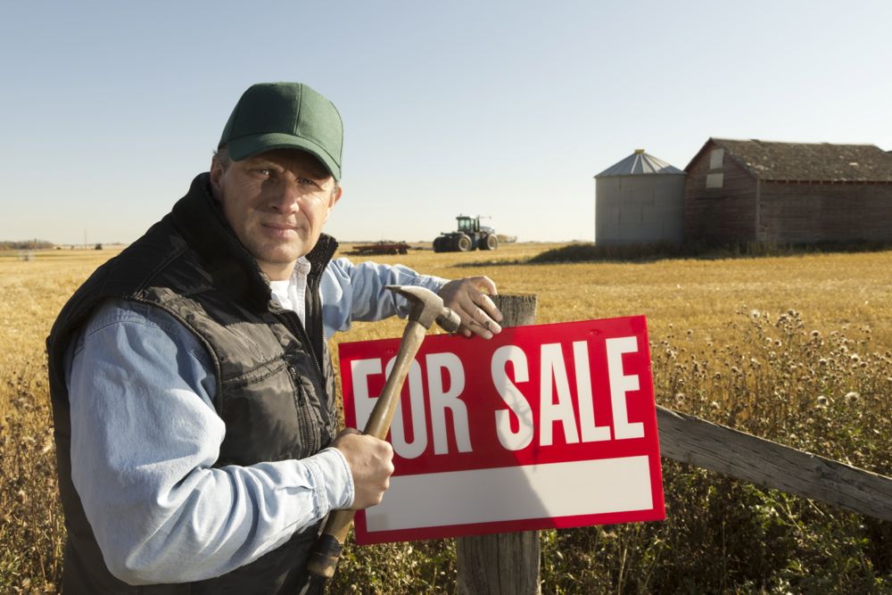 farmland for sale