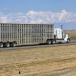 (Stefonlinton/iStock/Getty Images)
