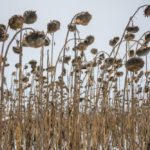 (GZKele/iStock/Getty Images)
