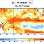 Average sea surface temperature (SST) anomalies over the Pacific Ocean for the week centred on Dec. 5. (CPC.ncep.noaa.gov)