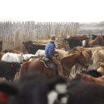 (Photo courtesy Canada Beef Inc.)
