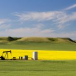 File photo of an oil pumpjack near Drumheller, Alta. (LaughingMango/E+/Getty Images)