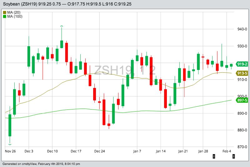 CBOT March 2019 soybeans with 20- and 100-day moving averages. (Barchart)

