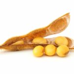 Soybean pod counts are up eight percent compared to 2017.  Photo: Thinkstock
