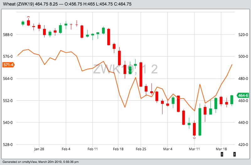 CBOT May 2019 soft red winter wheat, with MGEX May 2019 spring wheat in orange. (Barchart)
