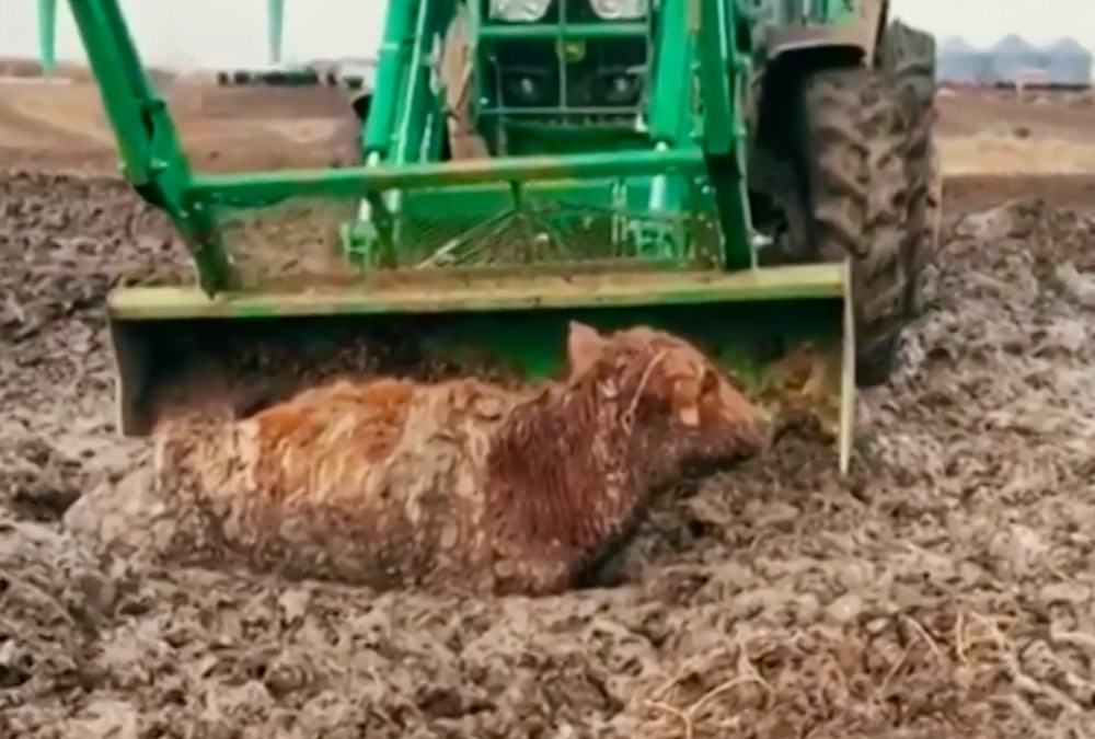 Photo: AccuWeather.com
