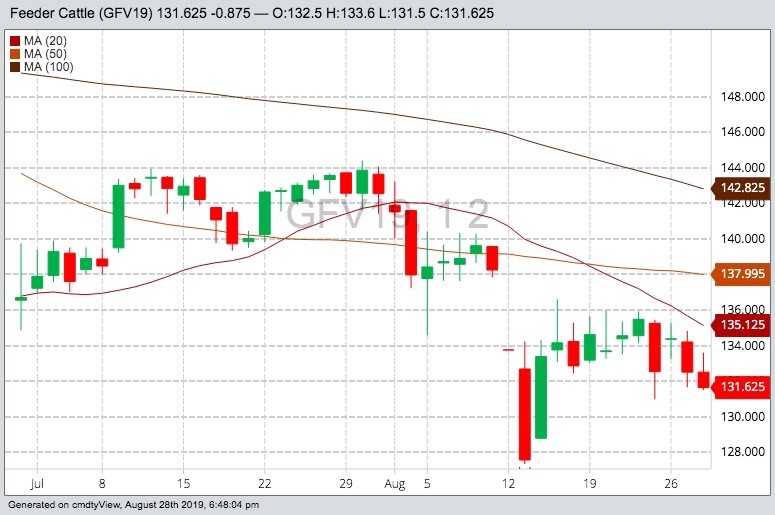 CME October 2019 feeder cattle with 20-, 50- and 100-day moving averages. (Barchart)
