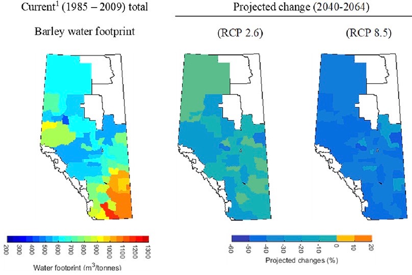 A 2017 study maps out predictions for changes to the “water footprint” of rain-fed barley grown in agricultural Alberta. (Science of the Total Environment, March 2018)
