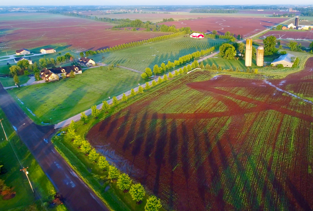 Farm Financial Planner: Estate planning for the very long term