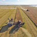 Along with three other owner/operators, Enns manages 10,600 acres of grains near Rosthern, Sask.